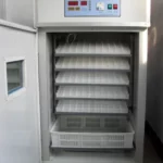poultry-egg-incubator-500x500